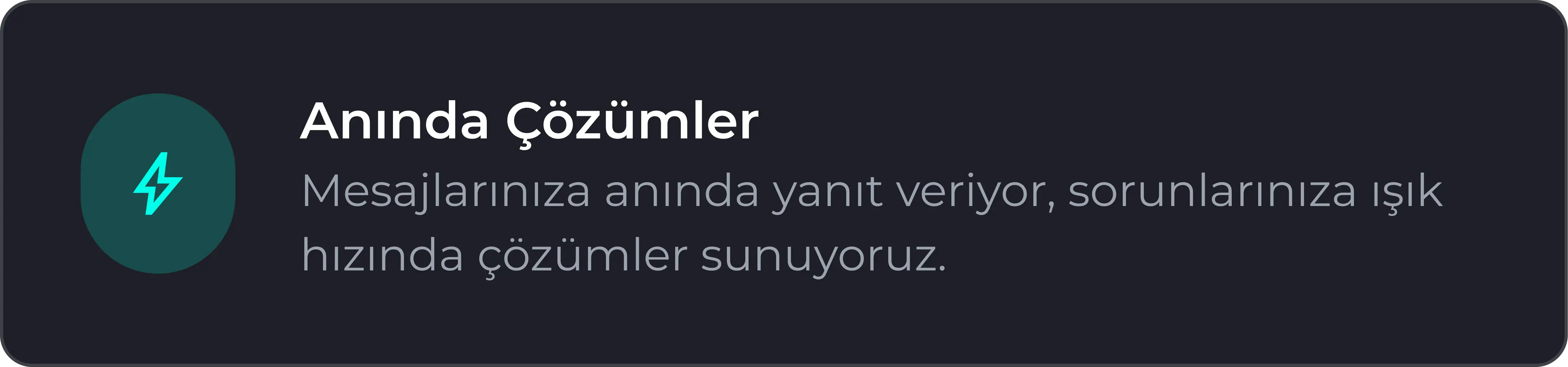 Anında Çözümler